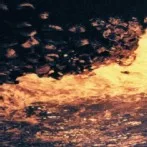 Leafar Legov