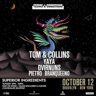 Tom & Collins: Terms & Conditions by Gray Area