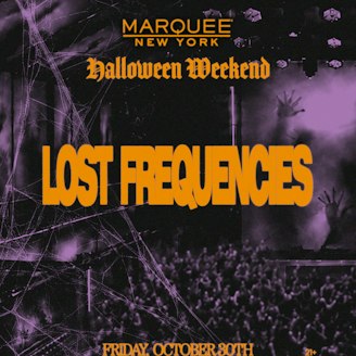 Lost Frequencies