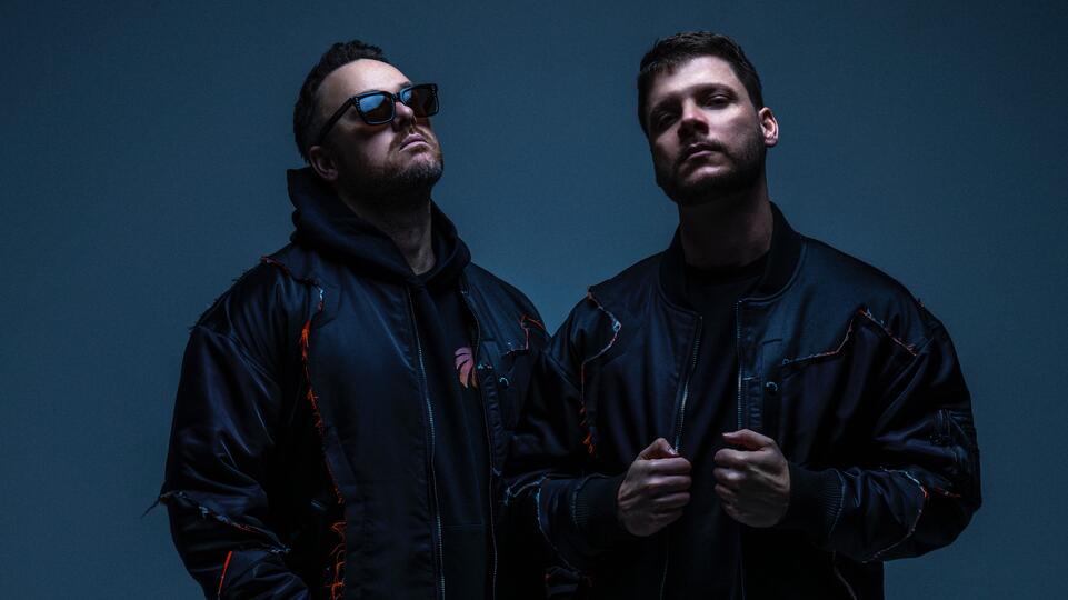DUBVISION