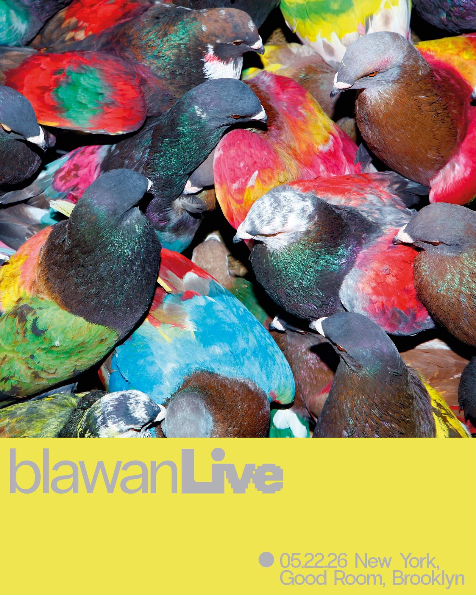 Blawan (live), Emsho, Ike Release, Sploofi, Nicolò Bernardi